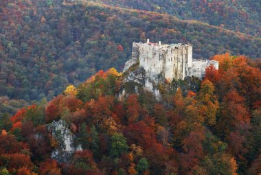 Dağ sonbahar manzarası renkli orman ve Uhrovec Kalesi, Slovakya