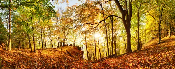 Herfst Bos Berg Bij Zonsondergang Met Zon — Stockfoto