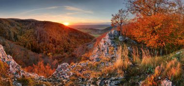 Sonbahar Orman ve Slovakya dağ rock Panoraması