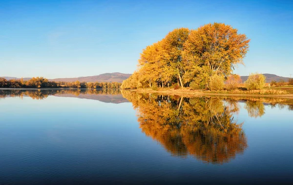清晨阳光下的秋天五颜六色的树木 在宁静的河流中反射 — 图库照片