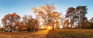 Güzel park bahçe atumn. Sonbahar panorama sunrise Park Slovakya