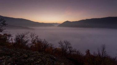 Ormanda güneş ışığı ile sis gündoğumu, zaman atlamalı
