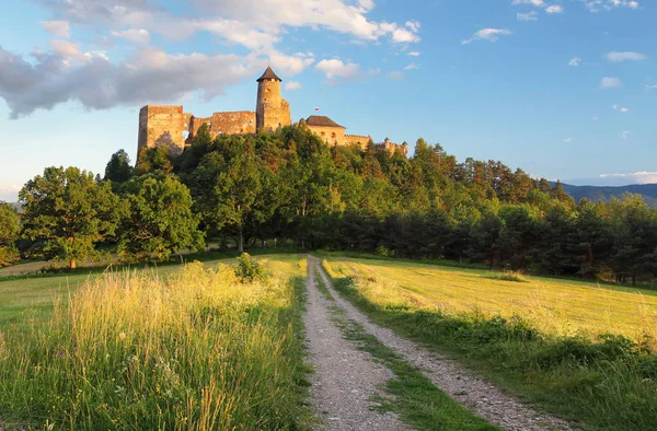 Slovenský hrad, Stará Lubovna — Stock fotografie