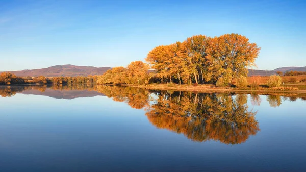 Árboles de colores otoñales bajo la luz del sol de la mañana reflejándose en tranquilidad —  Fotos de Stock