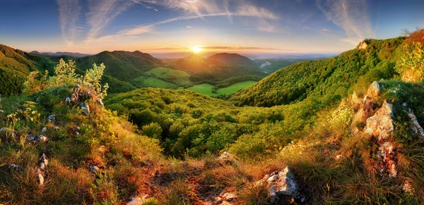 Tavaszi hegyvidéki táj panoráma erdővel és napfényben — Stock Fotó