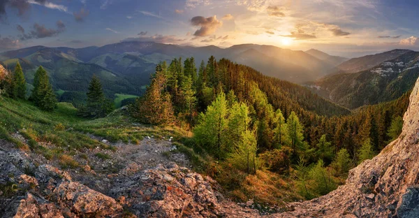 Basse montagne Tatra paysage d'été. prairie avec d'énormes pierres amo — Photo