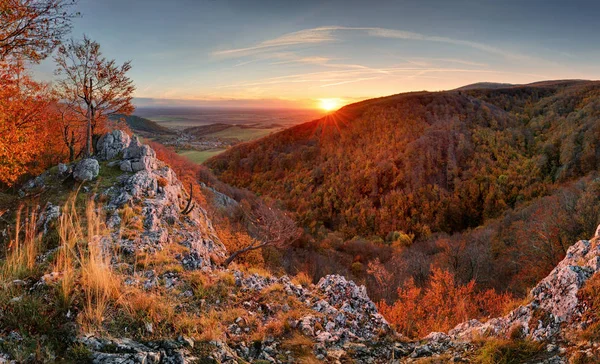 Beautiful orange and red autumn forest mountain, many trees on t — Stock Photo, Image