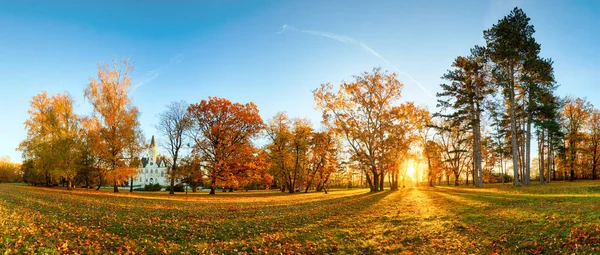 Panorama de árvore de outono no parque florestal ao pôr do sol — Fotografia de Stock