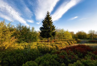 Slovakya Dağı - Ormanlı Vtacnik tepesi