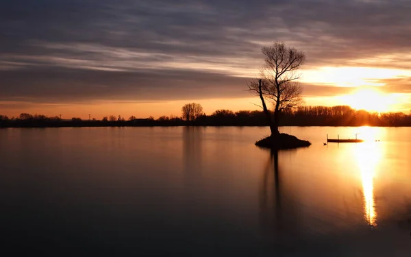 Bela Paisagem Vista Árvore Lago Nascer Sol — Fotografia de Stock