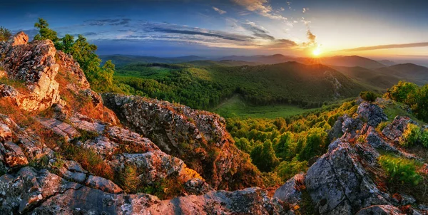 Forêt Montagne Coucher Soleil Panorama Paysager — Photo