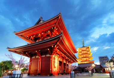 Tokyo, Japonya 'da geceleyin tapınaklı Asakusa tapınağı