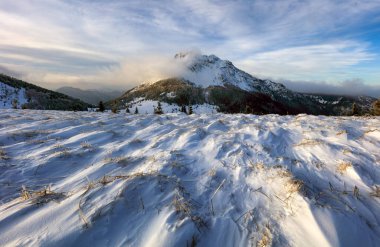 Kışın zirvesi olan dağ tarlası, kar manzarası