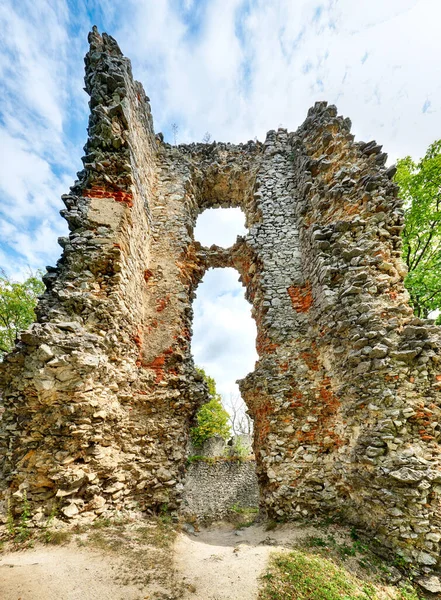 Slovakia Ruins Castle Dobra Voda — Stock Photo, Image