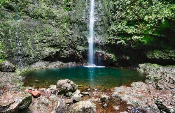 Madeira - Levada Caldeirao Verde 'nin sonundaki güzel şelale, yeşil yağmur ormanı
