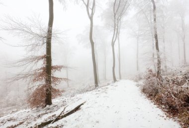 Karlı kış yolu, fantezi orman manzarası