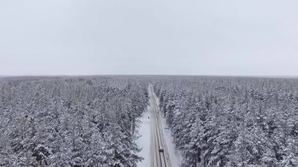 Quadcopter は移動車に続く森の中の道を飛ぶ 松の木の冬 雪に覆われたトップス 美しい景色 — ストック動画