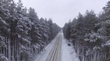 Quadcopter ormandaki ağaçların dalları yaklaşan pines, arasındaki yol üzerinde yavaş yavaş uçar. Kar, kış, çok güzel, atmosferik.