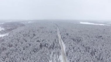 Quadcopter yavaş yüksek karlı çam ormanı ve yolun uçar. Kış soğuk ve bulutlu. Panorama, güzel manzara.