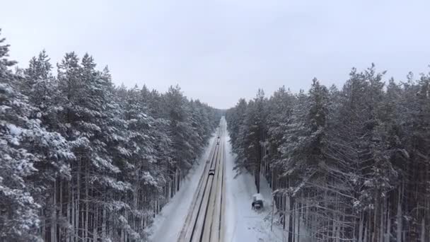 四轮车在森林里的松树之间的路上飞来飞去 汽车向相反的方向行驶 树的顶部和树枝都被雪覆盖着 冬天很冷 非常漂亮 — 图库视频影像