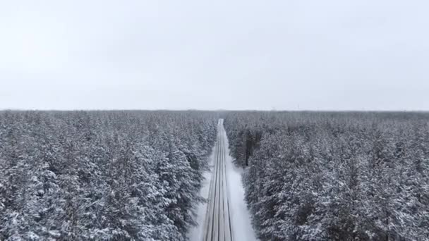 Quadcopter Vuela Sobre Bosque Carretera Invierno Frío Cubiertas Nieve Copas — Vídeos de Stock