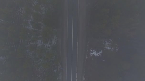 Latający Quadcopter Nad Prostą Drogą Lesie Mglisty Poranek Spotkanie Przystanek — Wideo stockowe