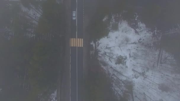 Helicóptero Vuela Detrás Del Coche Una Carretera Recta Bosque Una — Vídeo de stock