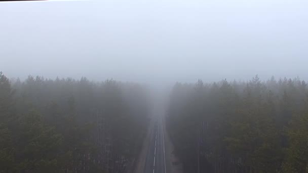 Lot Quadkoptera Między Drzewami Lesie Wzdłuż Prostej Drogi Mgły Porannej — Wideo stockowe