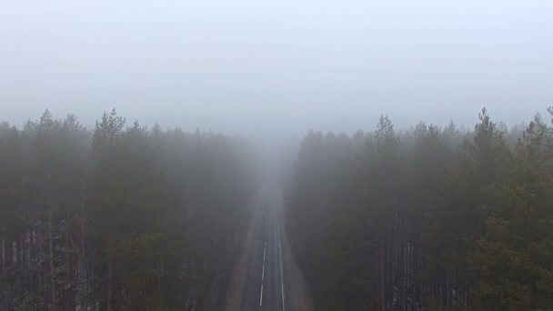 Квадрокоптер Летить Між Деревами Лісі Вздовж Прямої Дороги Туман Весняного — стокове відео
