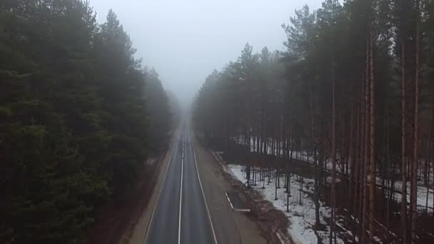 Volando Sobre Bosque Brumoso Largo Carretera Niebla Quadcopter Dron Primavera — Vídeo de stock