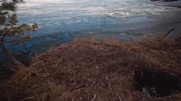 Άνοιξη Παγωμένο Δάσος Λίμνη Κάτω Από Ένα Γαλάζιο Ουρανό Σύννεφα — Αρχείο Βίντεο
