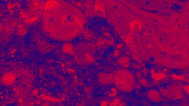 Soyut Desen Doku Sıvı Boya Yavaş Hareket Kabarcık Patlatma Suda Eritme Sıvı Renk Mavi Pembe Neon 4k Loop tasarım arka plan