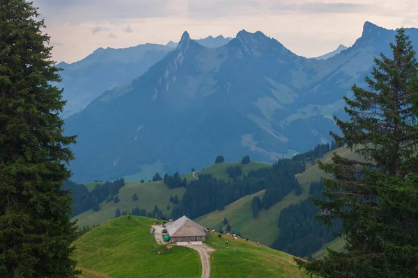 美丽的风景在阿尔卑斯山 瑞士弗里堡州 Moleson Guyere — 图库照片