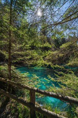 Mavi göl, Blausee, Bernese Oberland, İsviçre