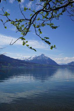 Unterseen Doğa rezerv Weissenau, İsviçre