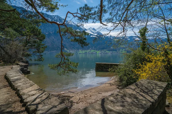 Naturschutzgebiet weißenau in unterseen, schweiz — Stockfoto