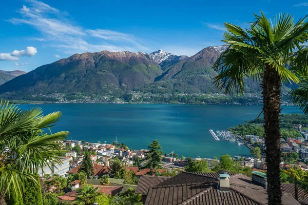 Spring view of lake maggiore surrounded by palms in Orselina, Sw — Stock Photo, Image