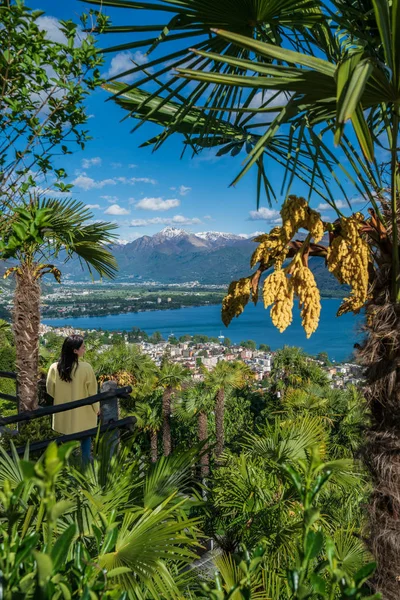 A traveller , looking at lake maggiore surrounded by palms in Or — Stock Photo, Image
