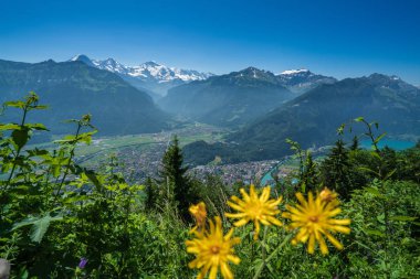 Harder Kulm'dan Interlaken ve Wengen'in manzara görünümü