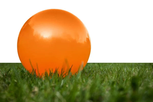 Boule bébé orange sur l'herbe verte — Photo