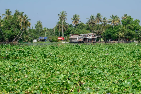 ALAPPUZHA, KERELA, INDIA - 22 HAZİRAN 2020 - Parlak güneş altında gölde park edilmiş güzel kayıkhane
