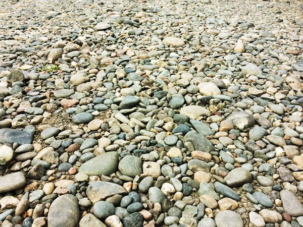 Hintergrund Kieselsteine Kleine Verschiedene Steine — Stockfoto