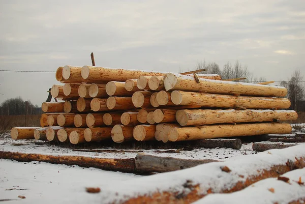 Logs Lumber Sawmill — Stock Photo, Image