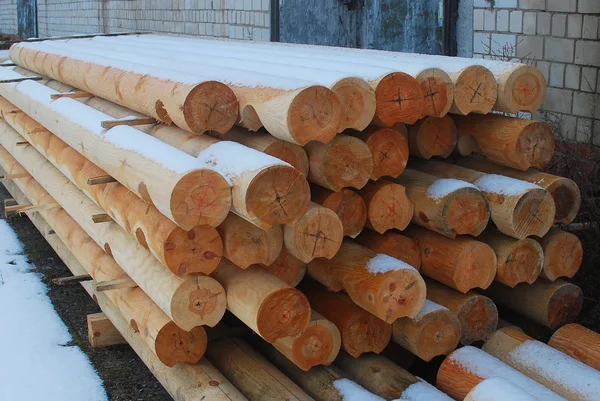 Logs Madeira Serrada Serração — Fotografia de Stock