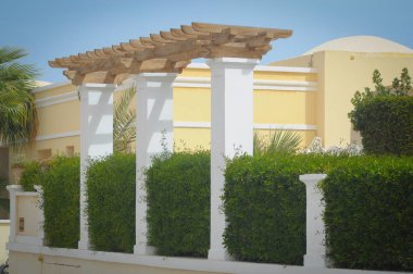 Mısır motifleri. Kızıl deniz dinlenmek