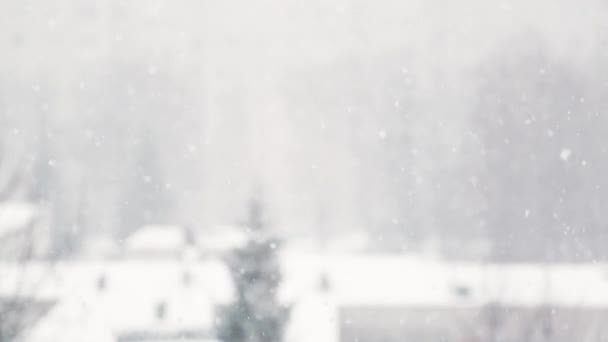 Bella Tempesta Neve Invernale Messa Fuoco Diversa — Video Stock