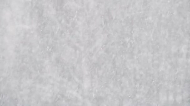 Traumhaftes Winterwetter. Starker Schneefall. — Stockvideo