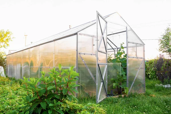 Serre Polycarbonate Dans Jardin Toit Triangulaire — Photo