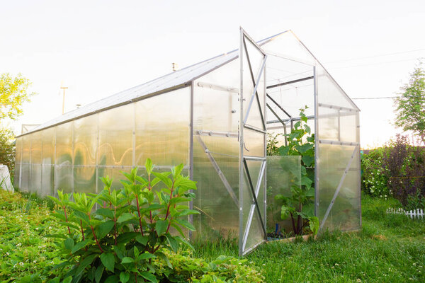 Polycarbonate greenhouse in the garden. Triangular roof.