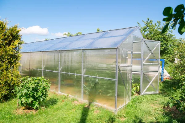 Serre Polycarbonate Dans Jardin Toit Triangulaire — Photo